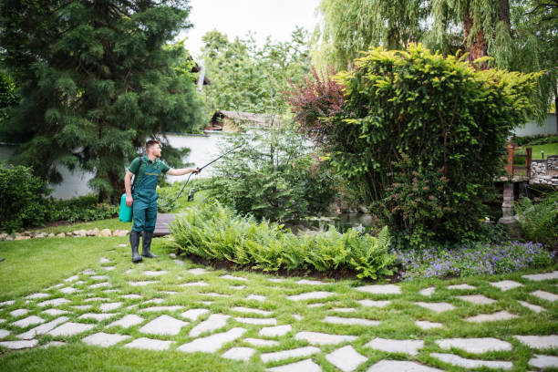 Best Tree Maintenance Programs  in On Top Of The World Designated Place, FL